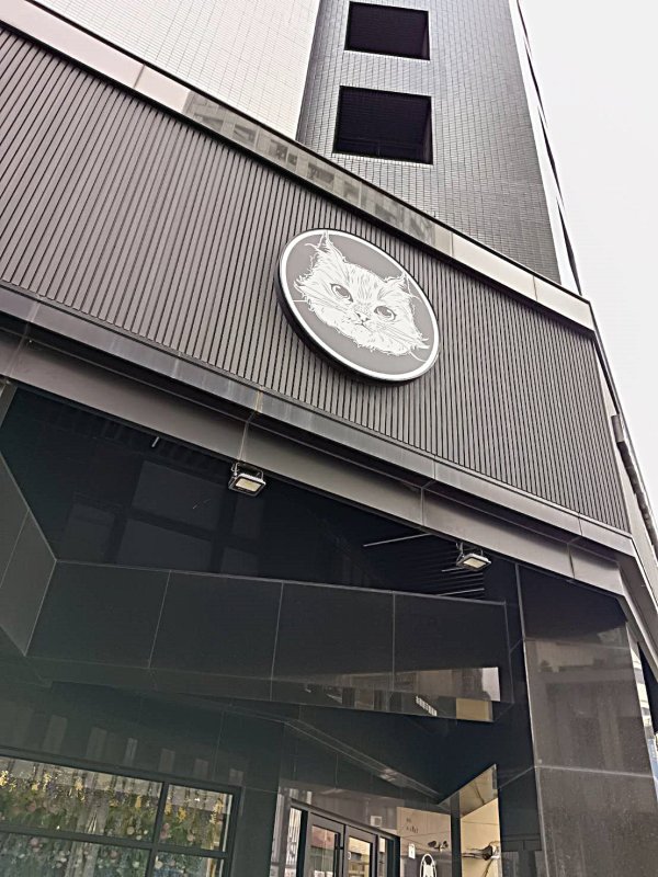 李貓貓主題餐廳　10隻萌貓打造沉浸式療癒空間　成高雄最新打卡新亮點