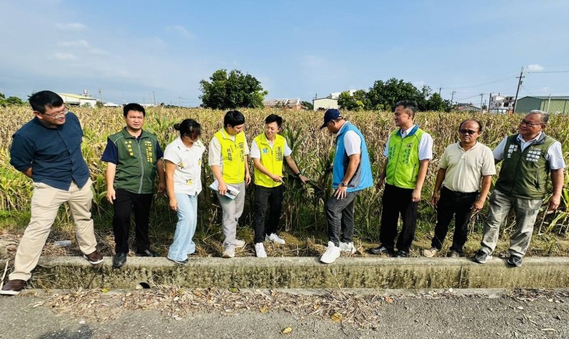 【豪雨重創台南溪北文蛤與青割玉米　賴惠員勘災爭取救助簡化加速】