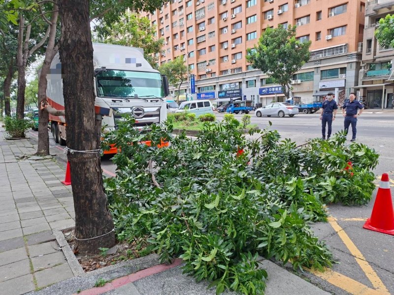 《營業大貨車自撞路樹  所幸無大礙》