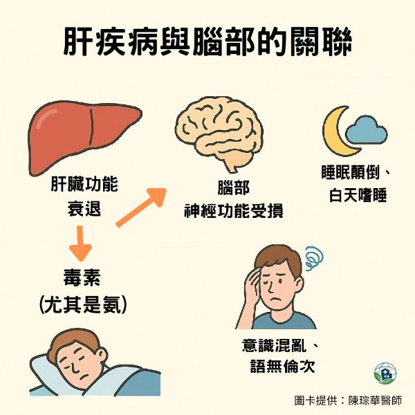 【猛爆性肝炎連帶損腦　醫師：昏迷前已有徵兆】